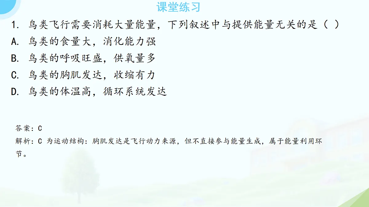 18133441第7页