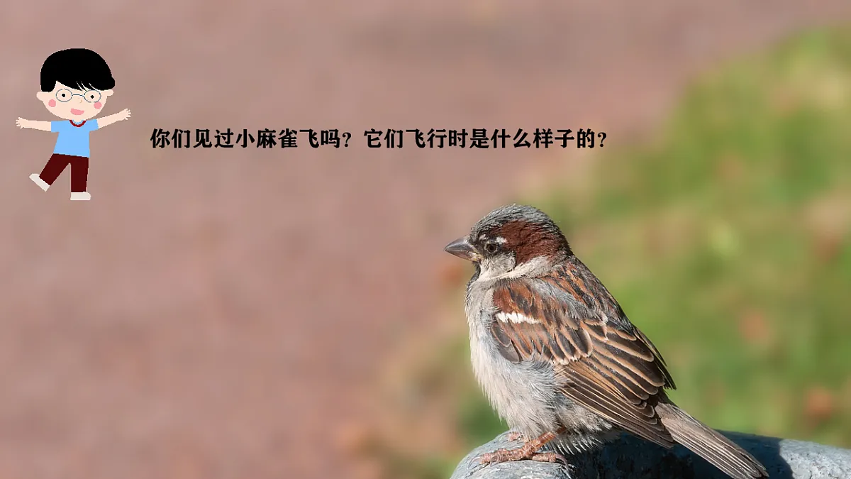 18134148第3页