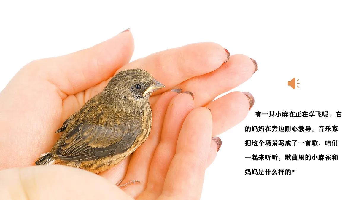18134148第4页