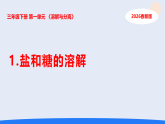 1.盐和糖的溶解（课件）2025-2026学年人教鄂教版三年级科学下册