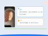 3.将不同的物质分离（课件）2025-2026学年人教鄂教版三年级科学下册