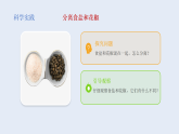3.将不同的物质分离（课件）2025-2026学年人教鄂教版三年级科学下册
