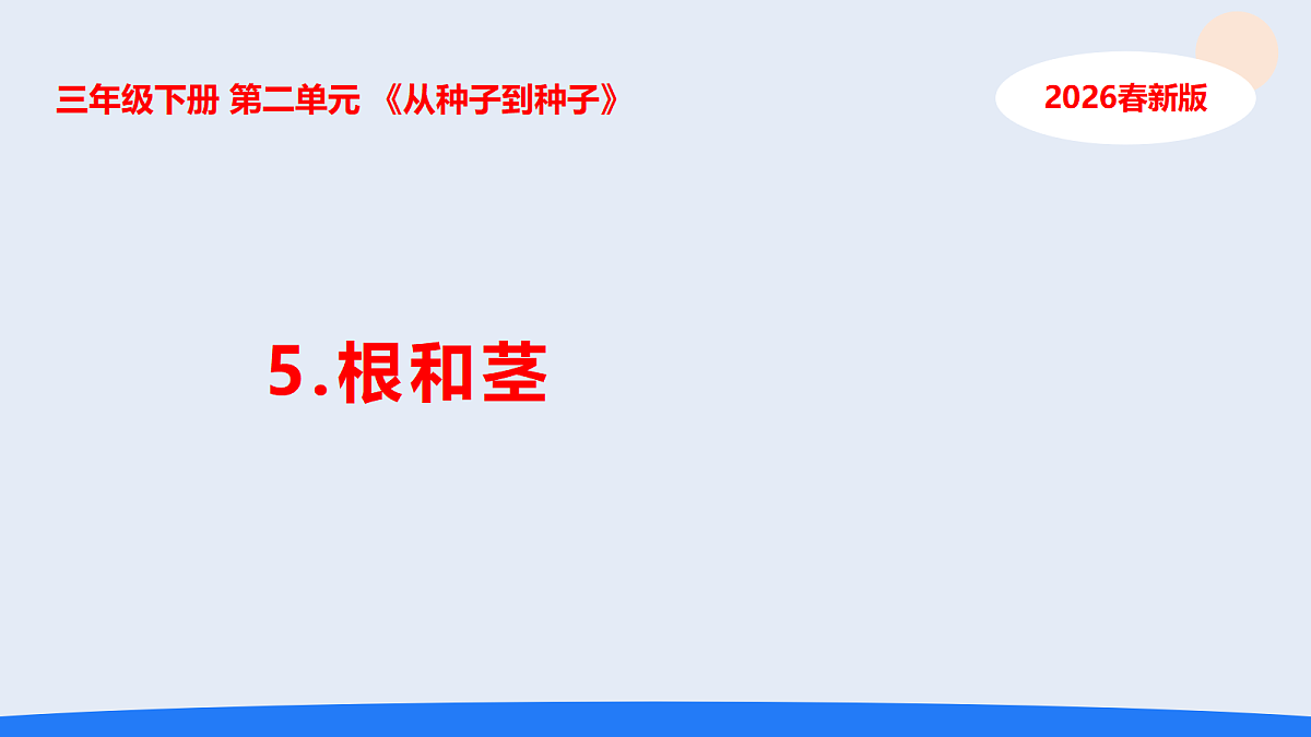 18135908第1页
