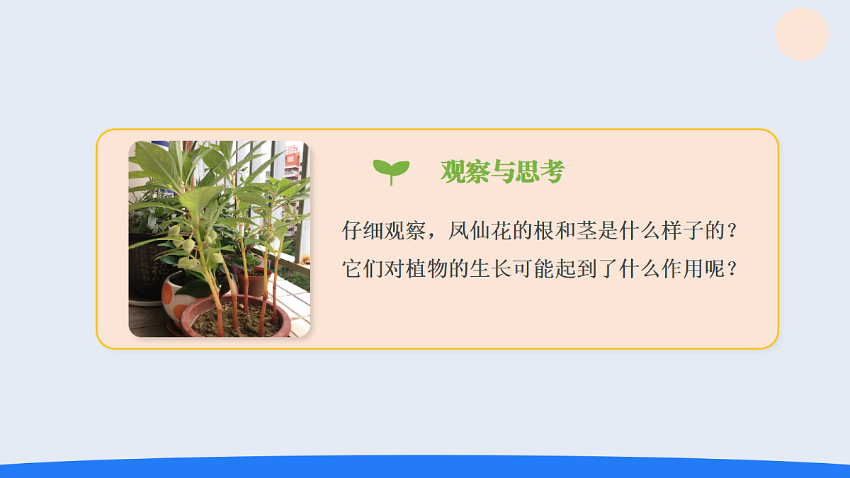 18135908第2页