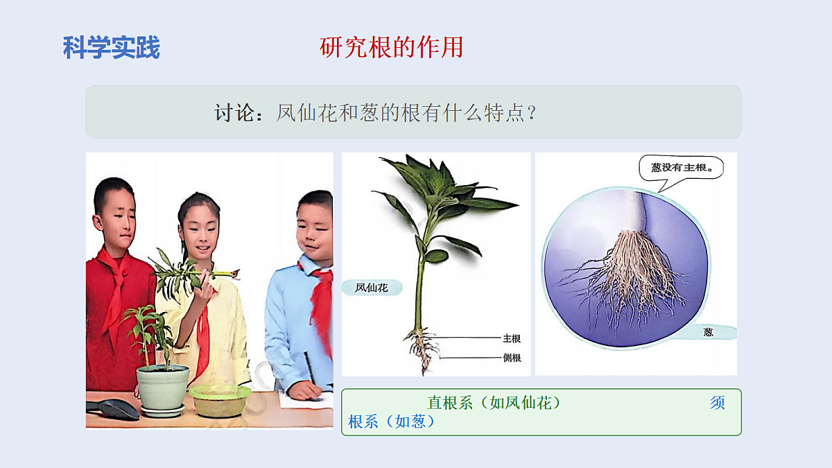 18135908第3页
