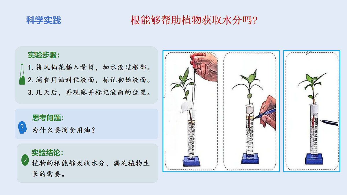 18135908第4页