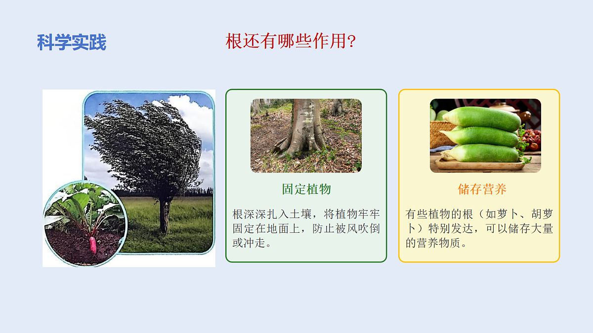 18135908第5页