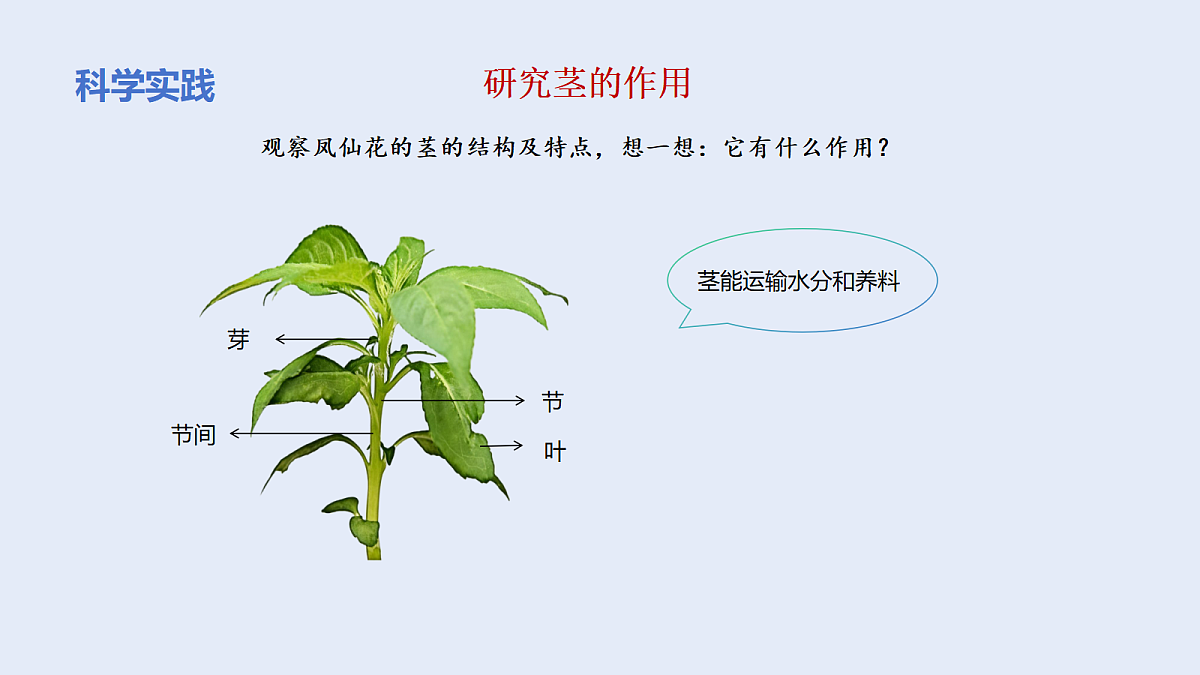 18135908第6页