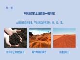 9.不同质地的土壤（课件）2025-2026学年人教鄂教版三年级科学下册