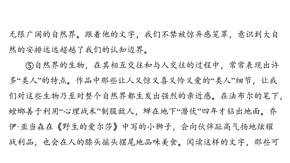 18136959第6页