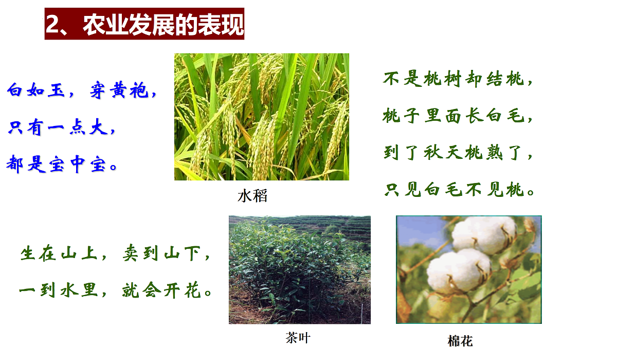18137058第6页