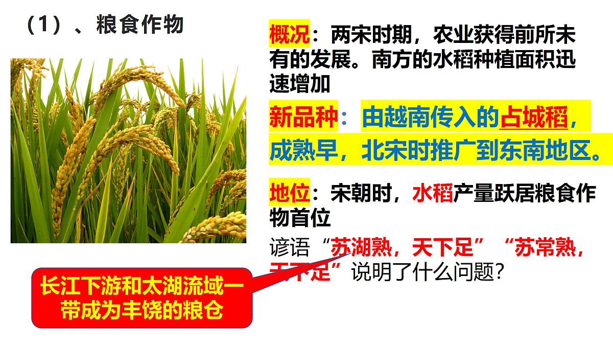 18137058第7页