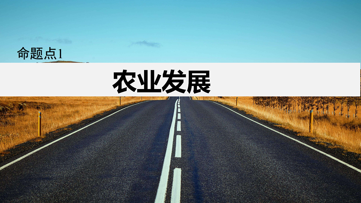 18137082第4页