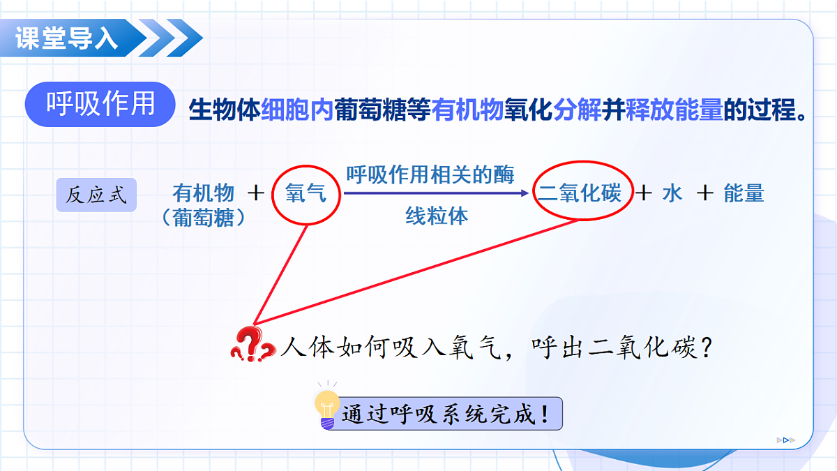 18137123第4页
