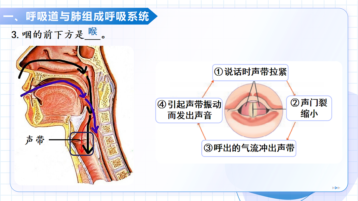 18137123第8页
