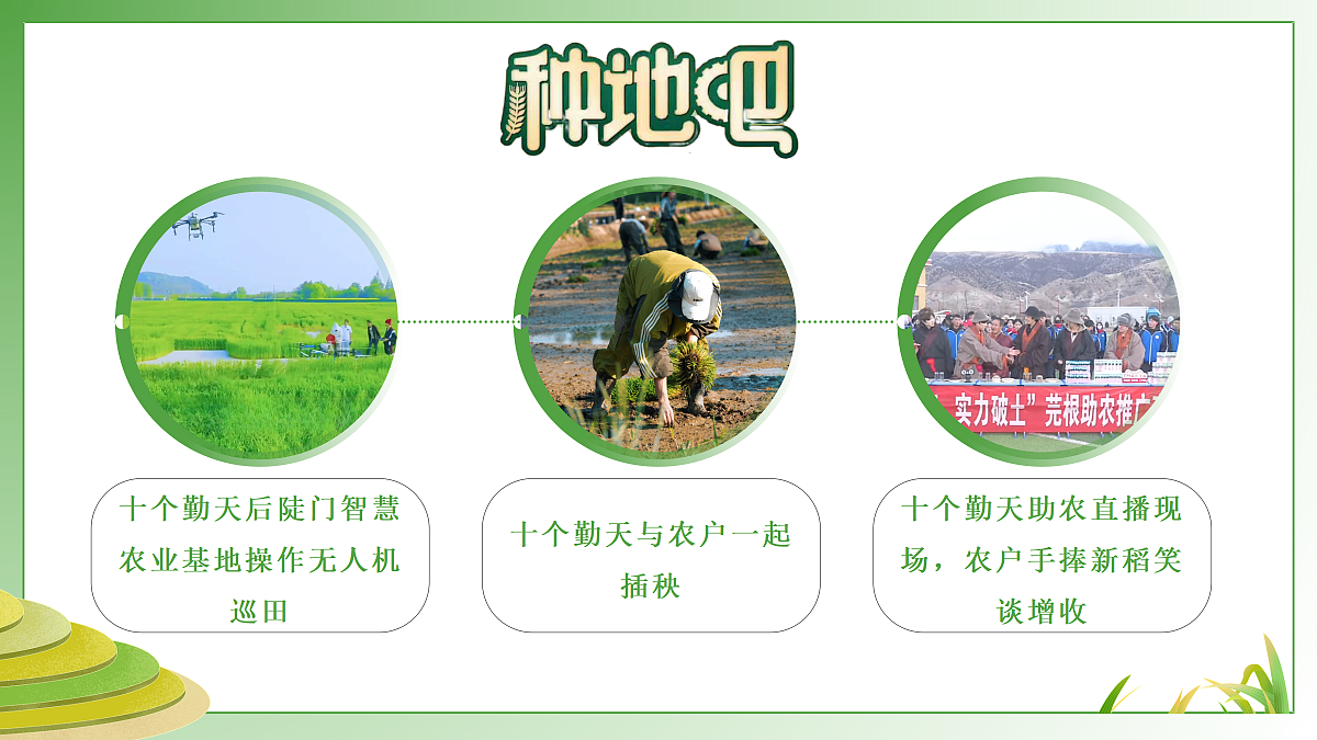 18137137第1页