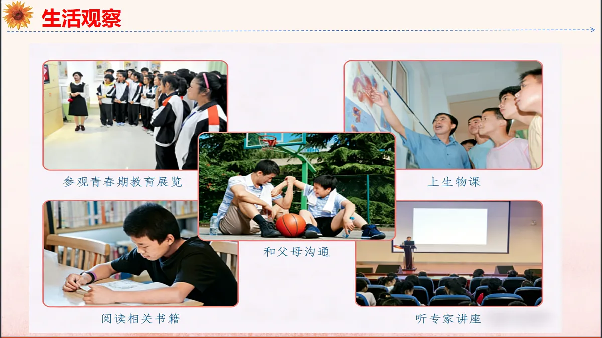 18137155第8页