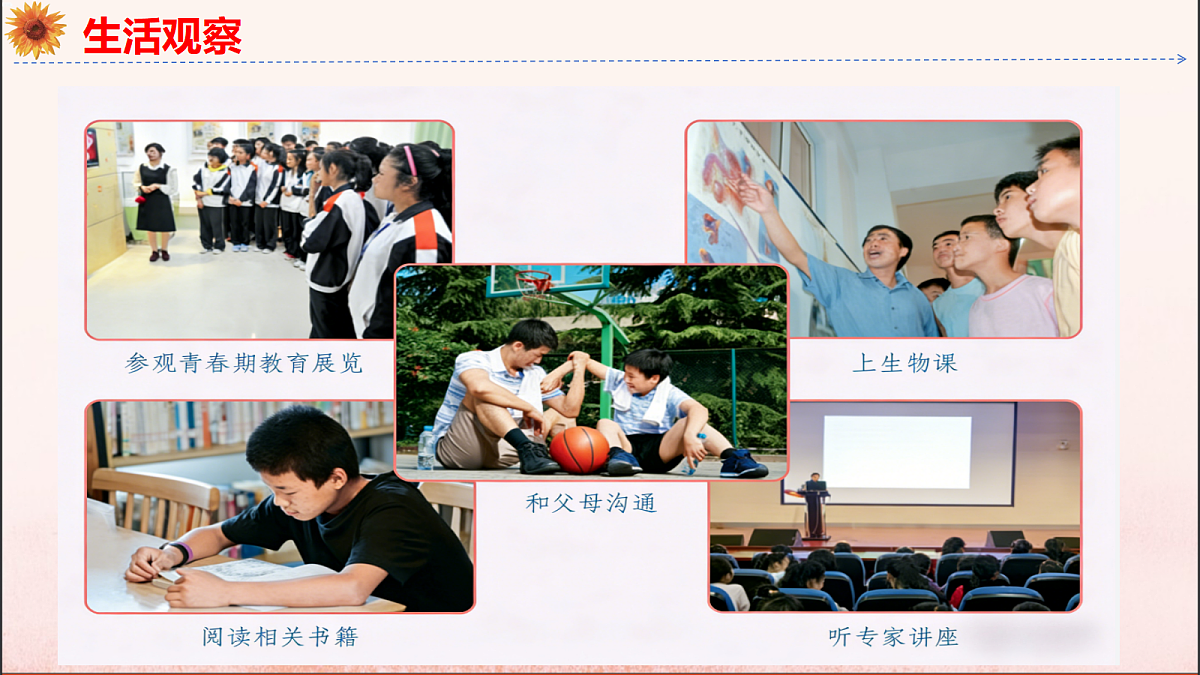 18137155第8页