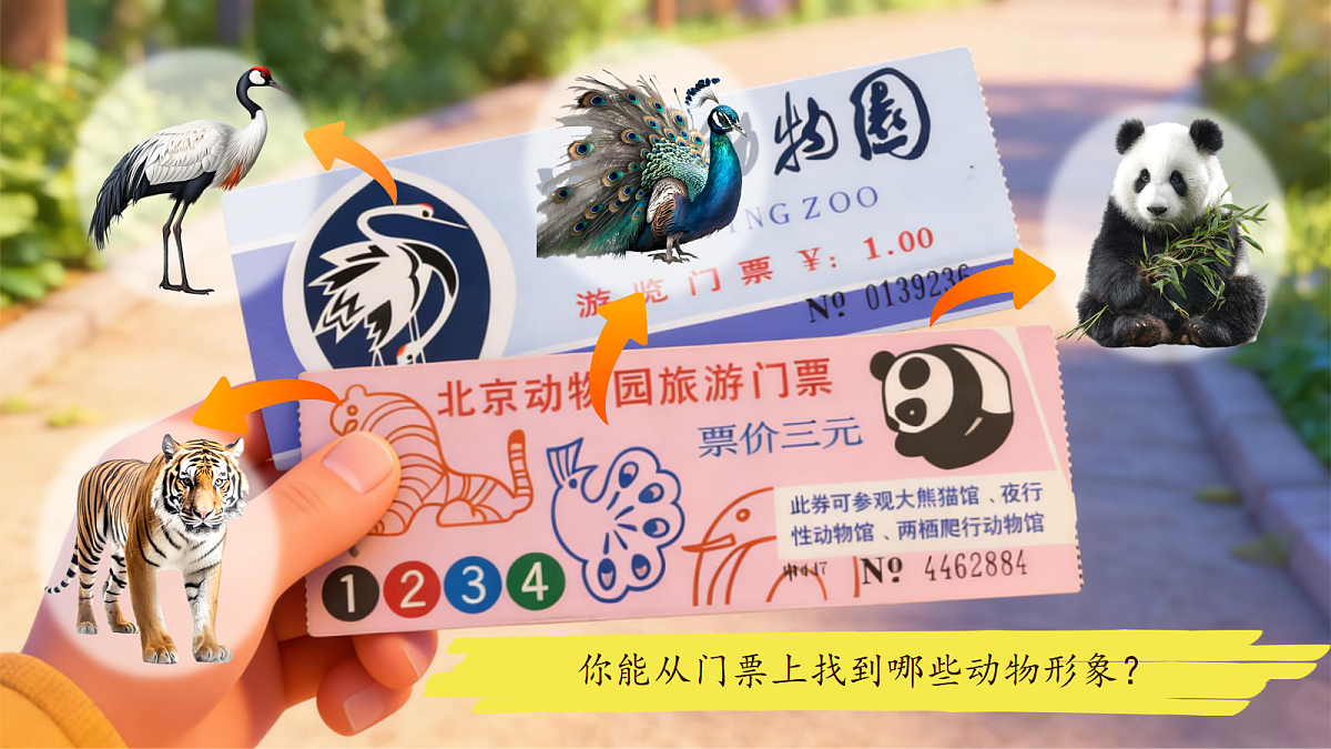 18137191第3页
