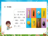 新人美版小学美术二下第四单元《2 蔬果大拼盘》课件