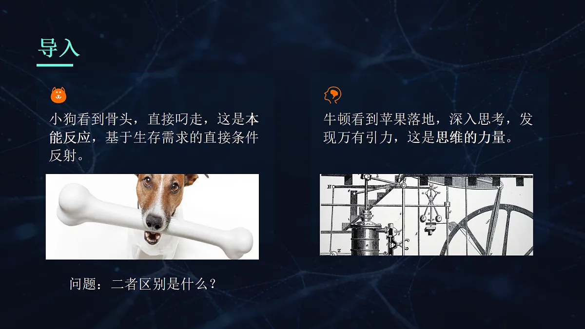18137224第1页