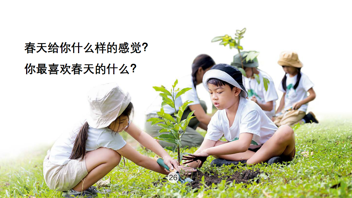 18138531第7页
