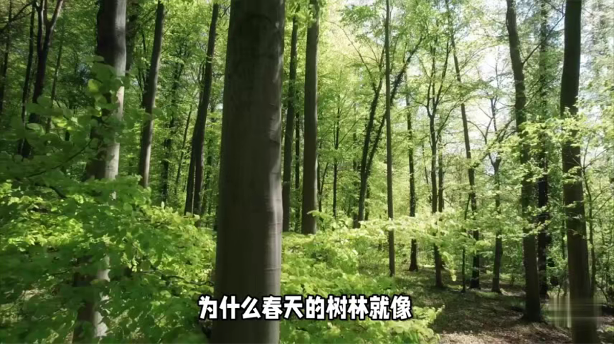 18138533第8页