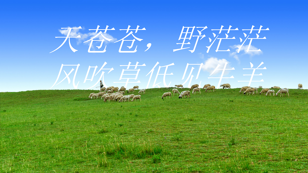 18138535第6页