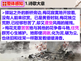统编版语文八年级下册第六单元课外古诗词诵读卜算子咏梅 课件