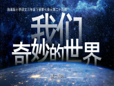 26春人教版三年级下册语文第七单元《我们奇妙的世界》（第二课时） 课件