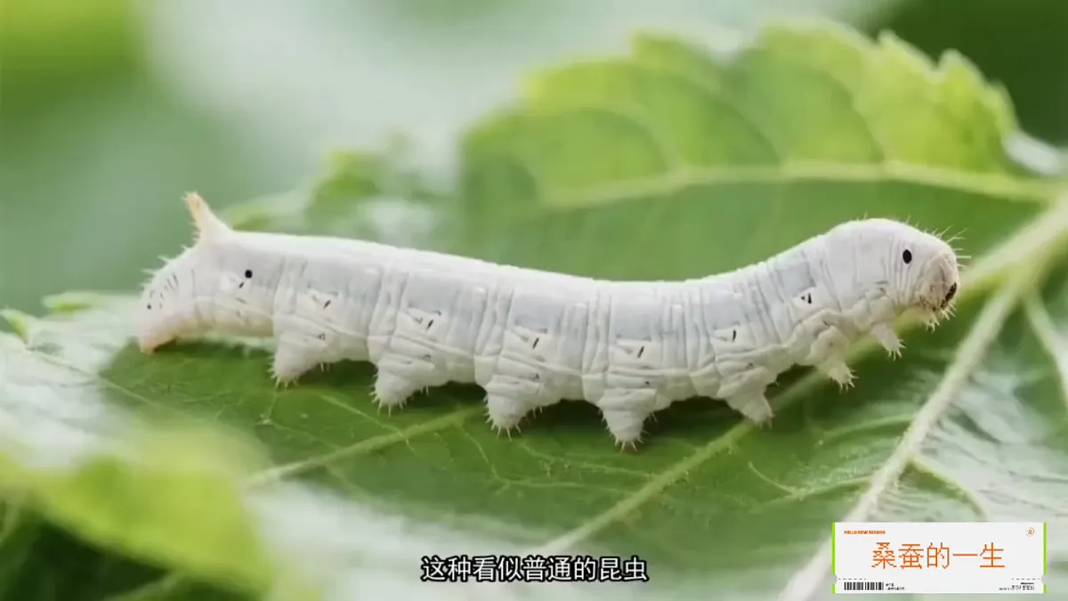 18141128第3页