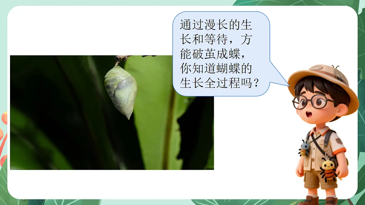 18141128第5页