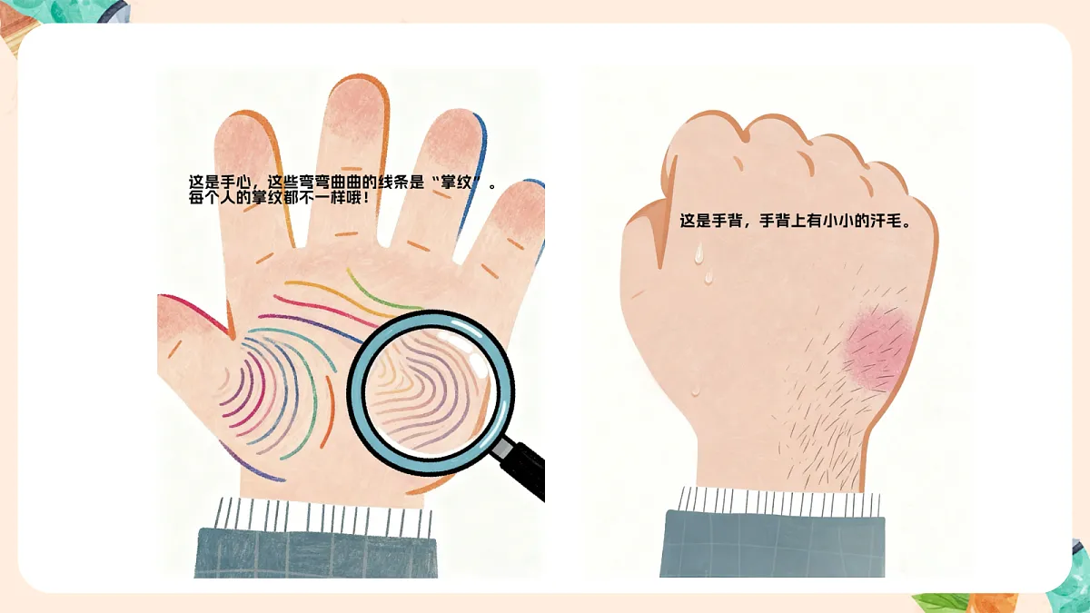 18141131第5页