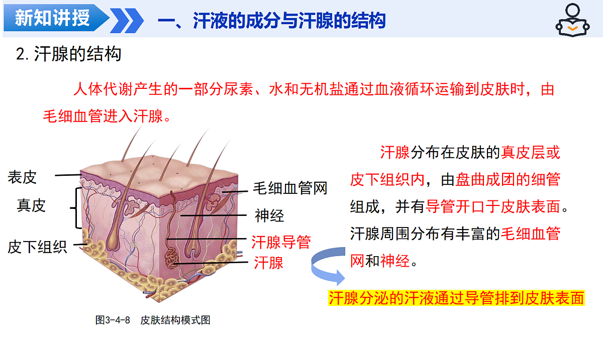 18141213第7页
