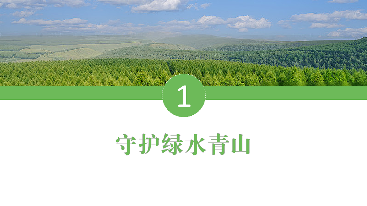 18141264第5页