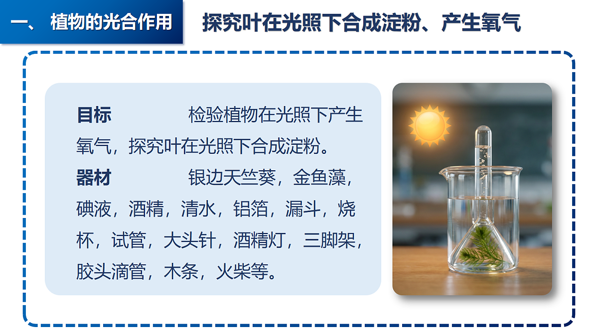18141419第7页