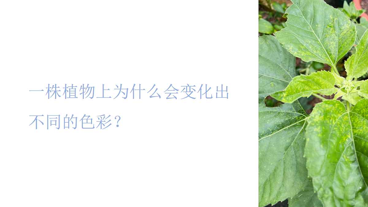 18143030第4页