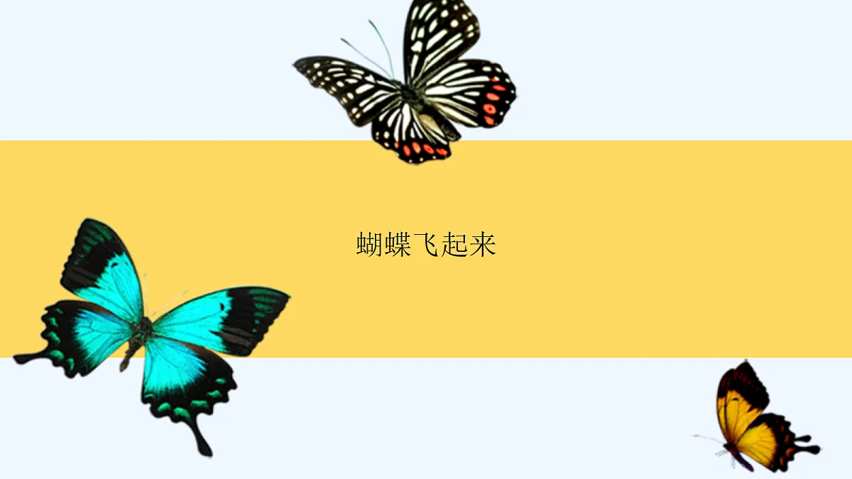 18143054第3页