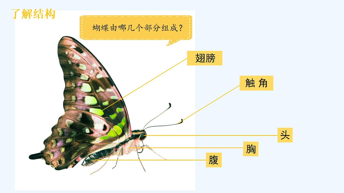 18143054第4页