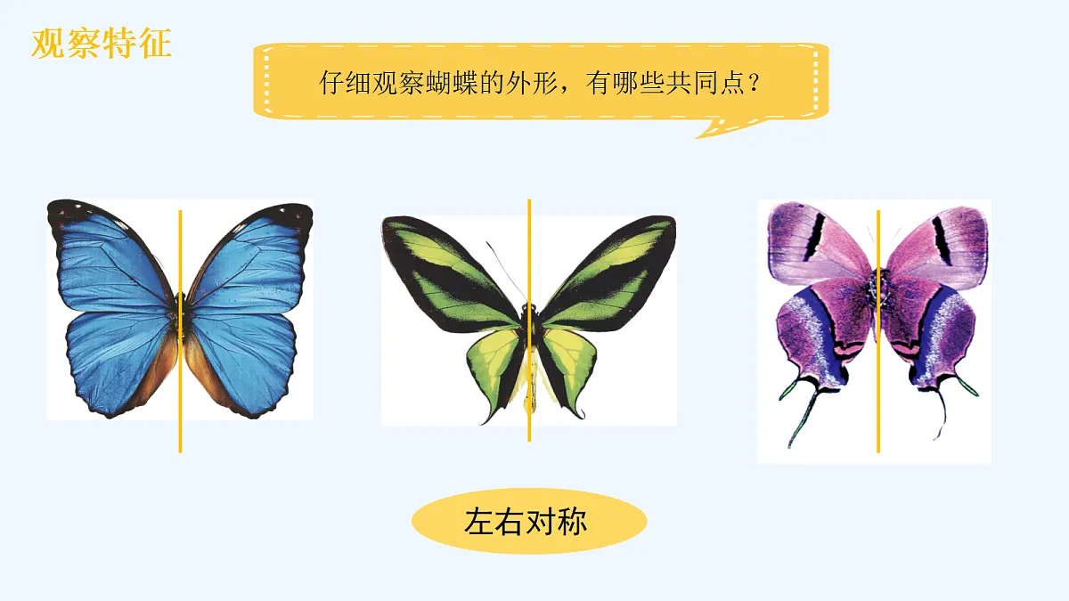 18143054第5页