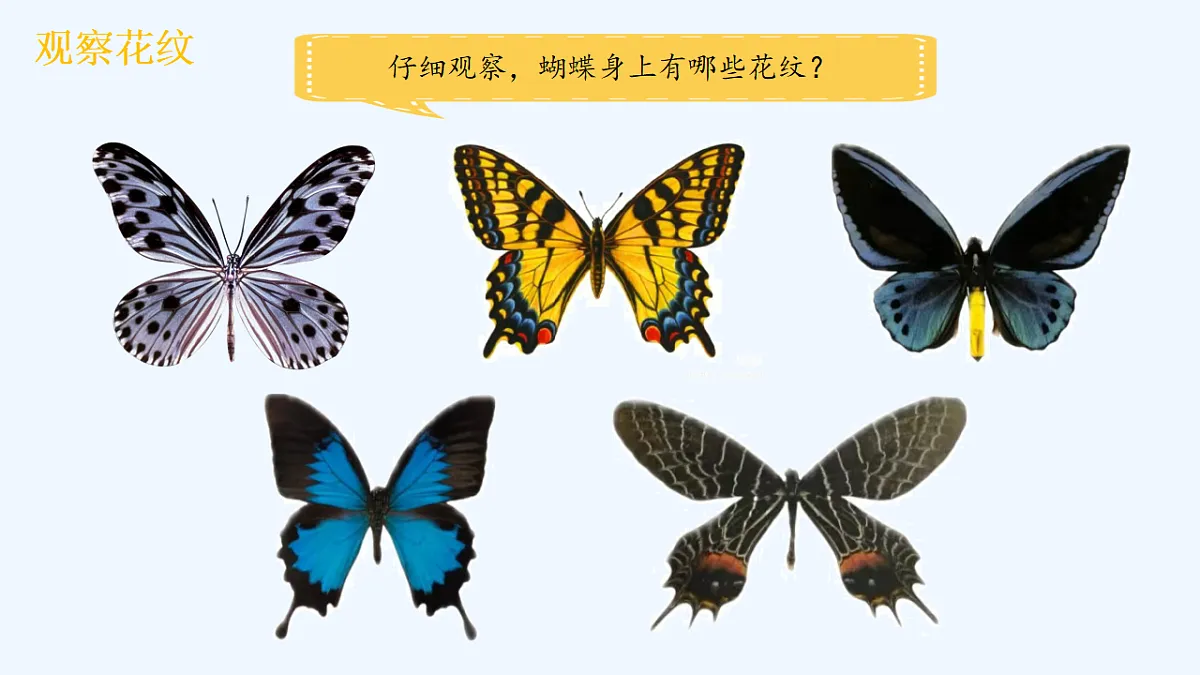 18143055第4页