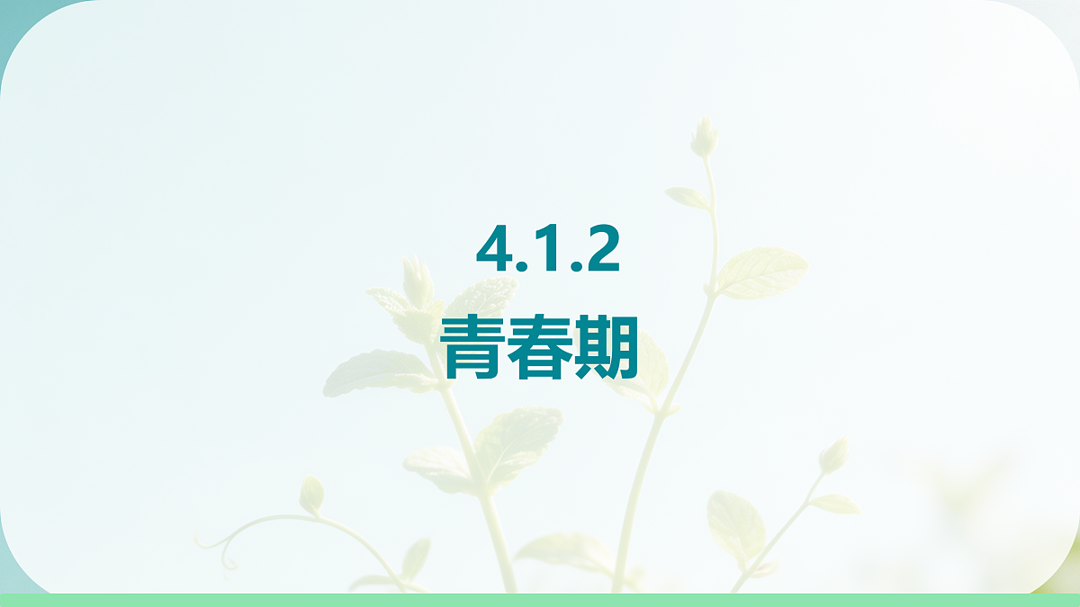 18144555第1页