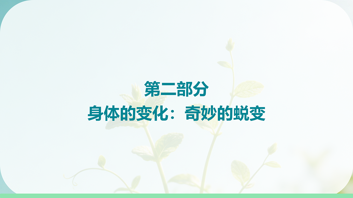 18144555第5页
