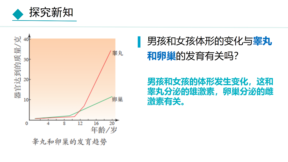 18144555第7页