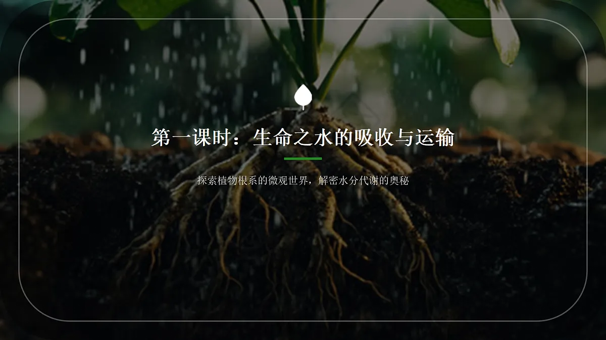 18144649第4页