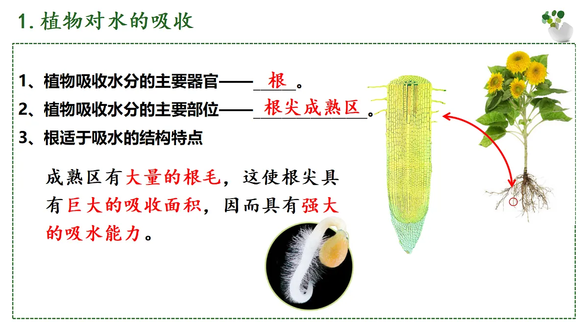 18144649第6页