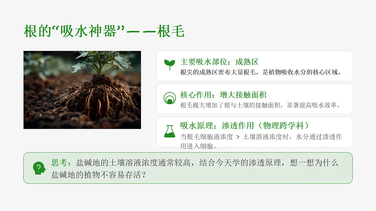 18144649第7页