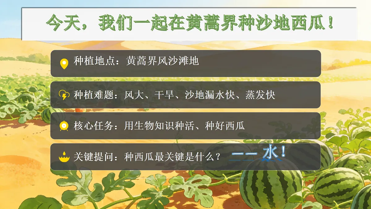 18144650第2页