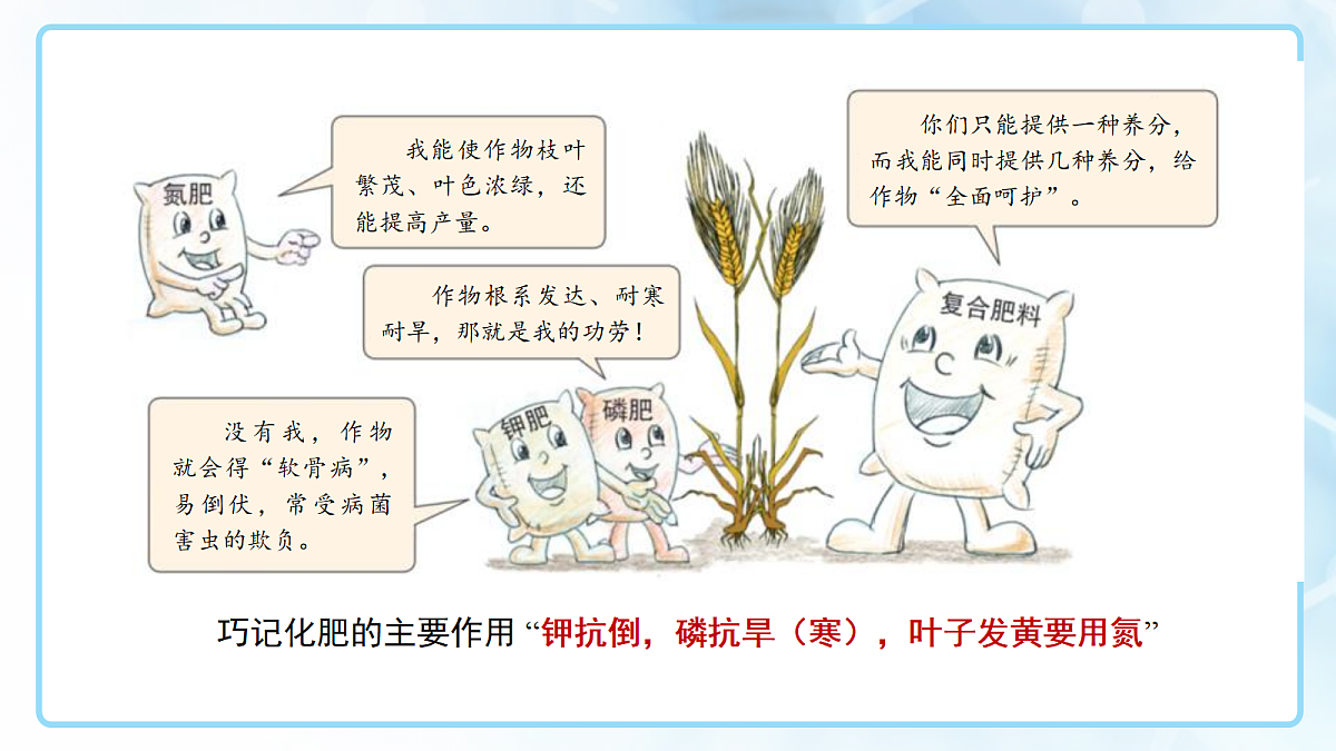 18144804第6页