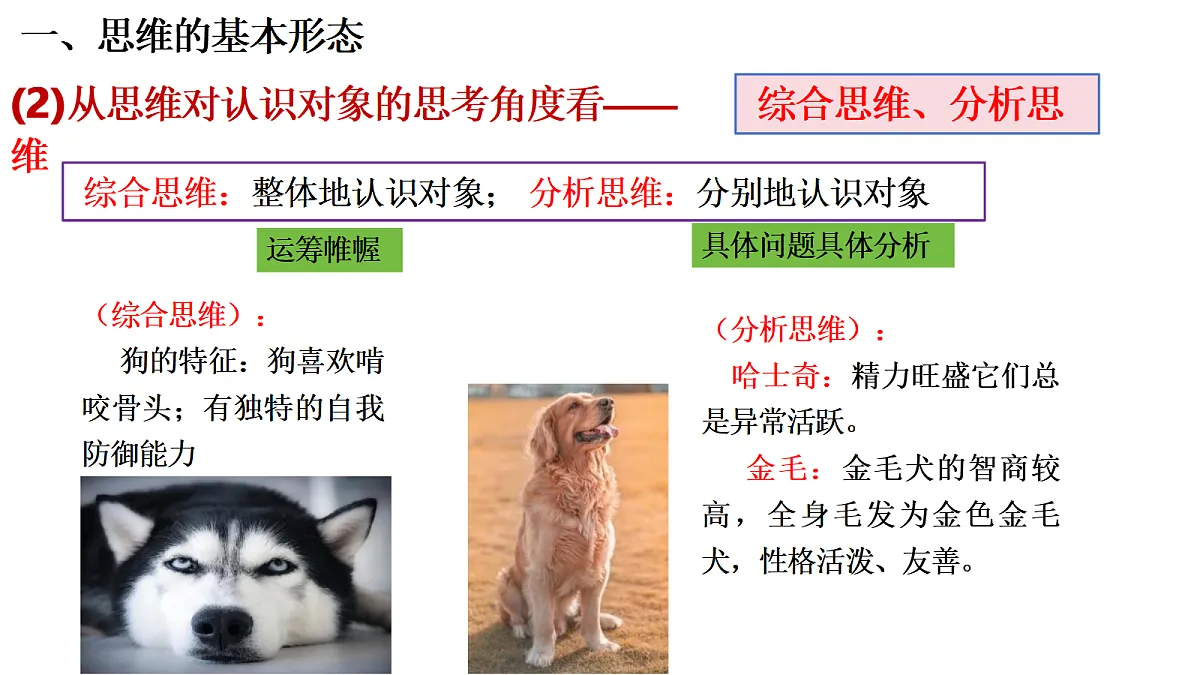 18145373第3页